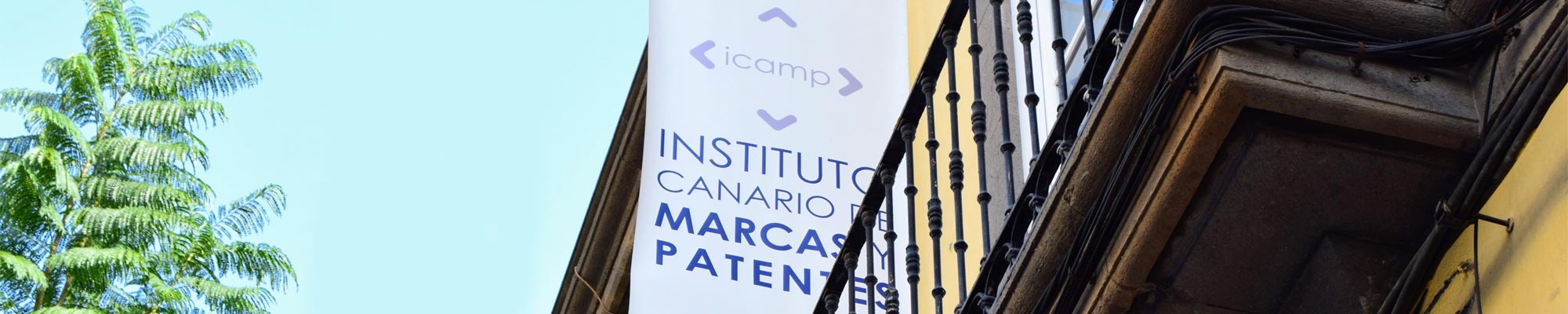 Cielo azul con un árbol a la izquierda y un balcón con la banderola del logo de ICAMP